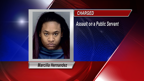 Teacher Assaulted, Student Charged