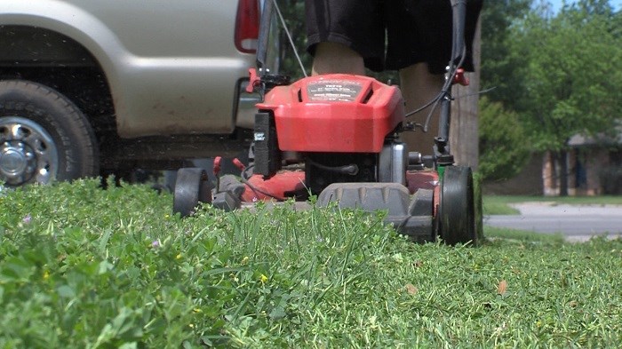 Grass Clipping Clean Up