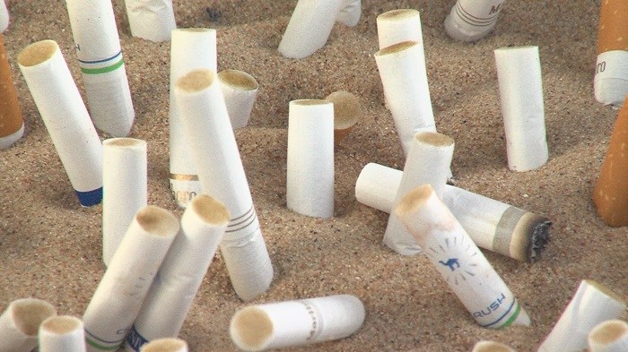 Two Year Grace Period Ends