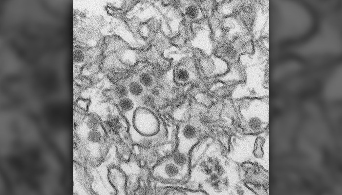 Texas First State To Offer Prescription Free Mosquito Repellant