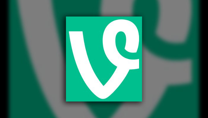 Twitter Ending Vine Video Service