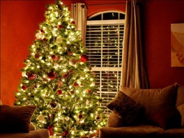 Christmas Tree Drop-Off Stations In Wichita Falls