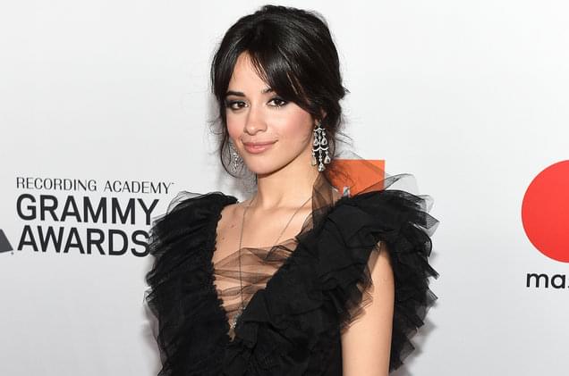 Camila Cabello Unveils ‘Made In Miami’ YouTube Documentary, Shows Off New Puppy In Fan Q&A: Watch