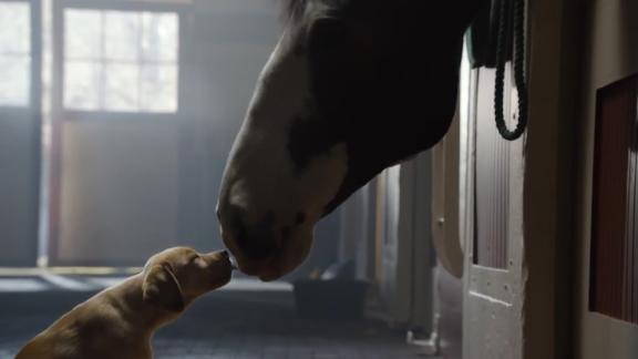 Best Super Bowl Ads Over the Years