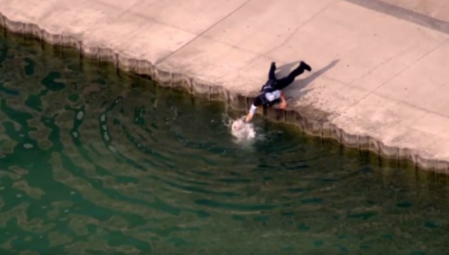 Watch: Dog Get Rescued From Lake Michigan By Officer After Car Crash