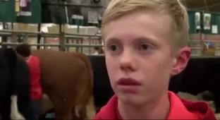 Kid Gets Stuck In-between Cows