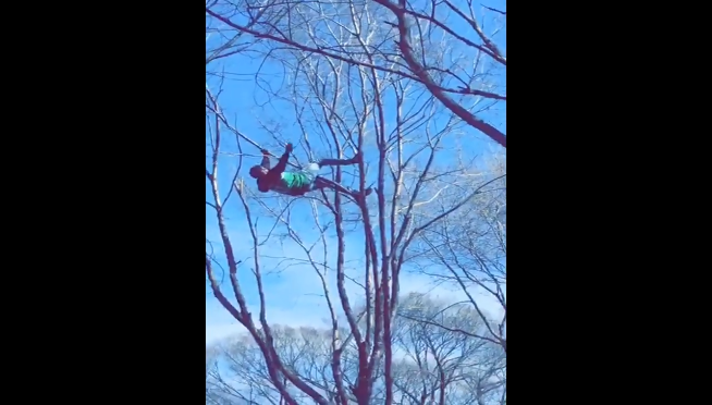 VIDEO: Do not drink and climb a tree in Grant Park