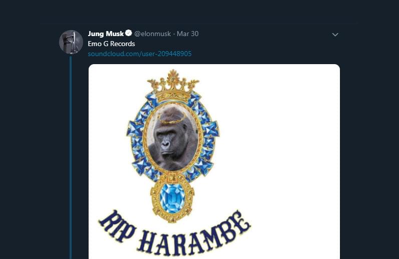 Elon Musk has released a rap single about Harambe