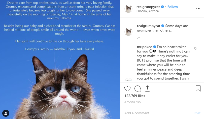 Internet sensation Grumpy Cat has died