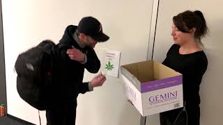 Weed Amnesty Box – KQX Crew Cuts