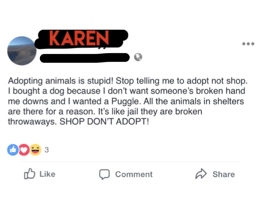 Whose Karen is it?