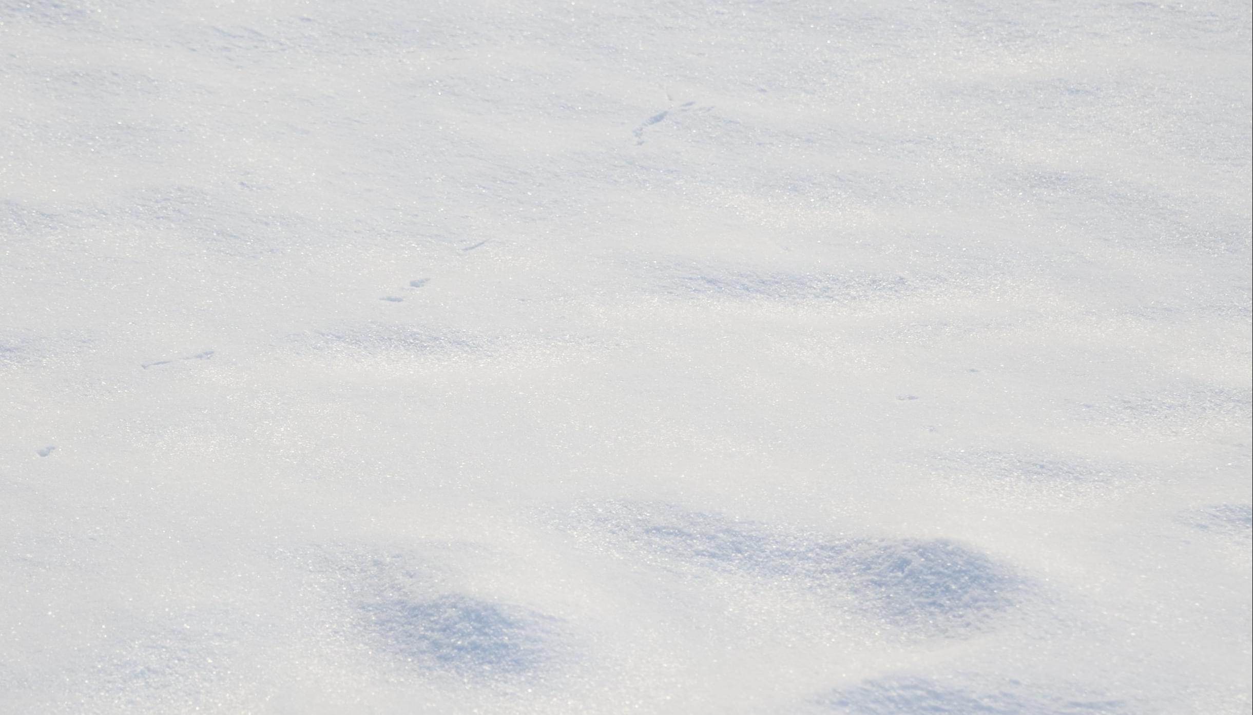 This is the snowiest Chicago since 1979
