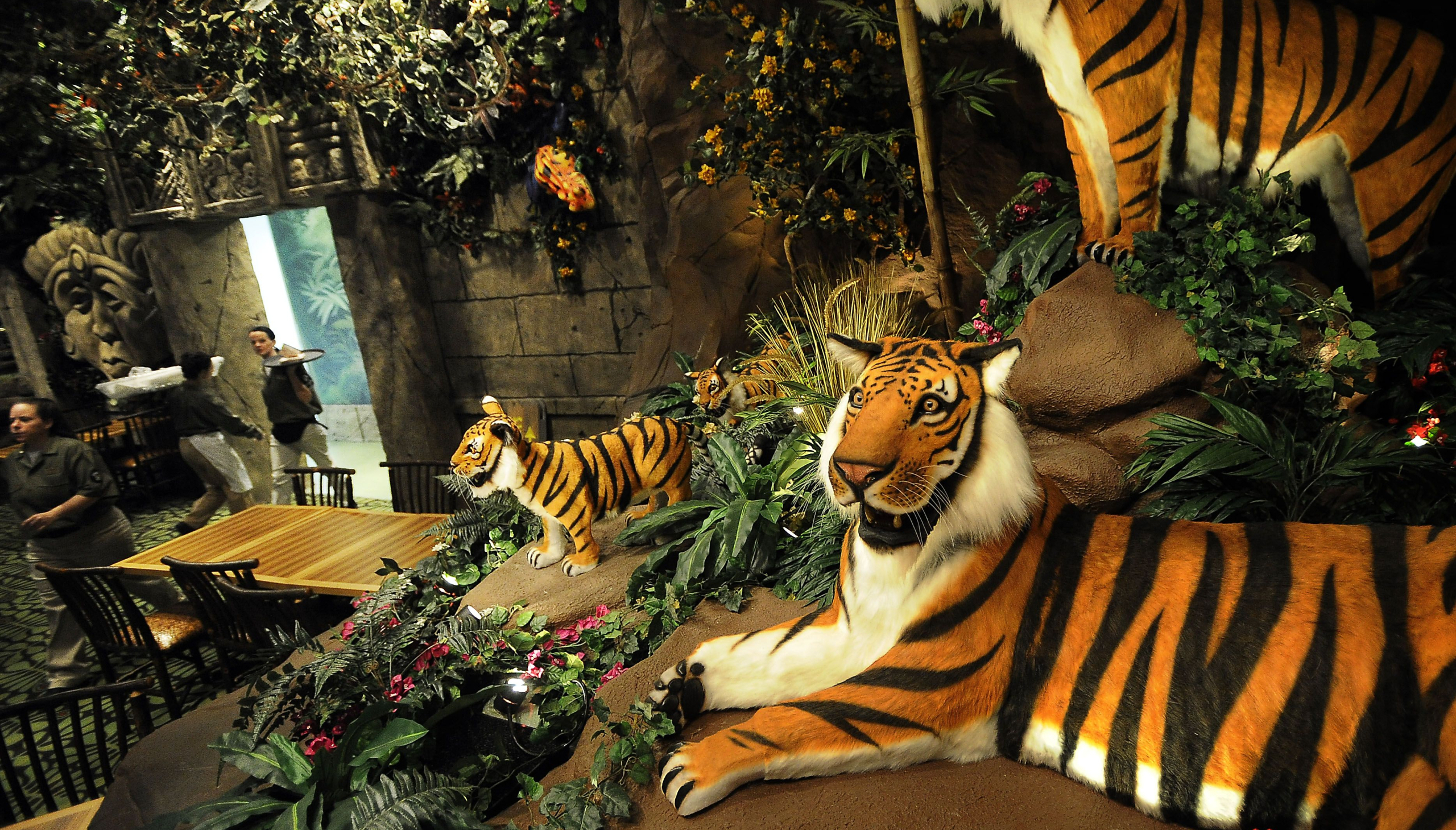 A dispensary is coming to the old Rainforest Cafe in River North