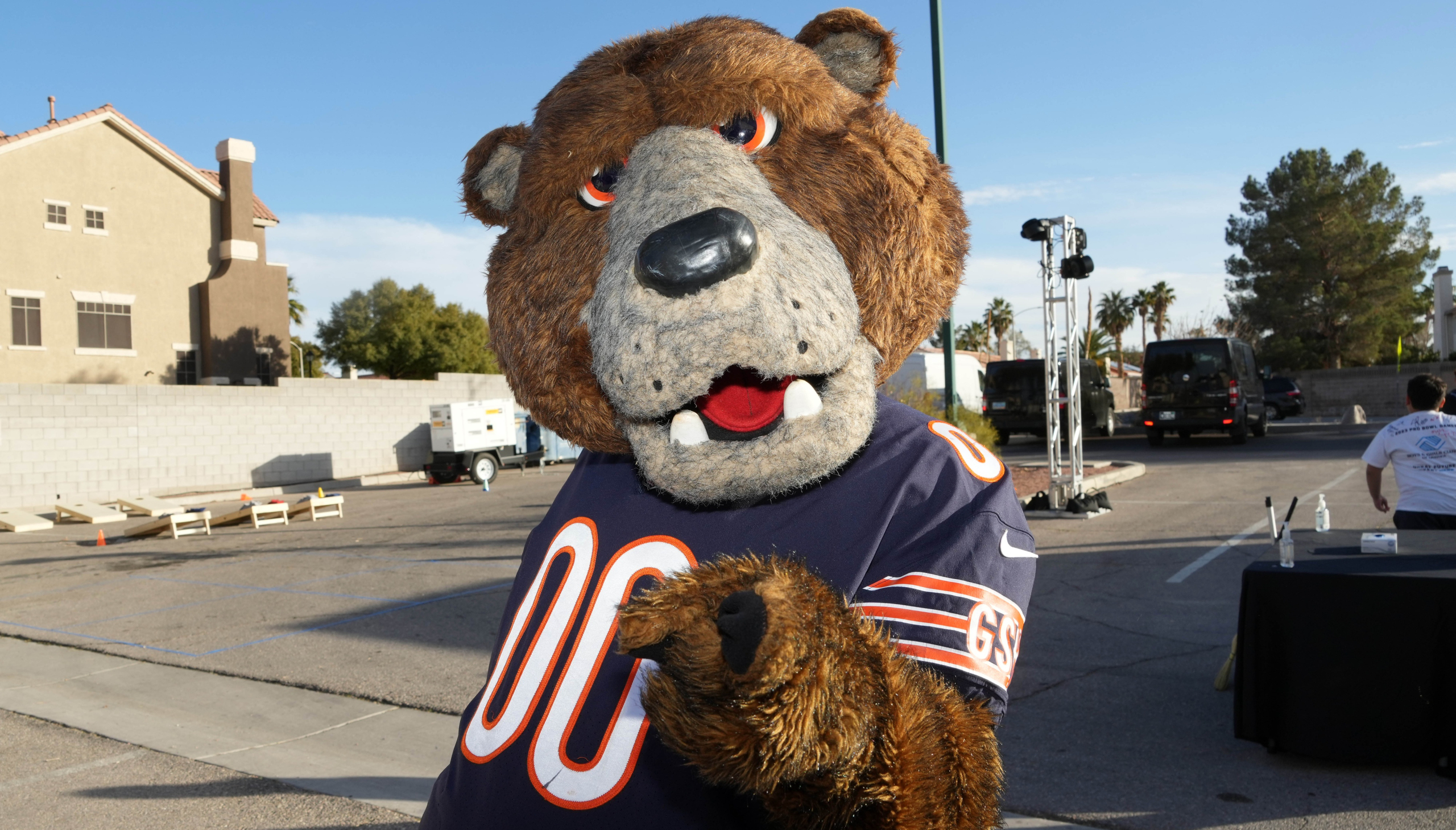 The Arlington Heights Bears, does it roll off the tongue?