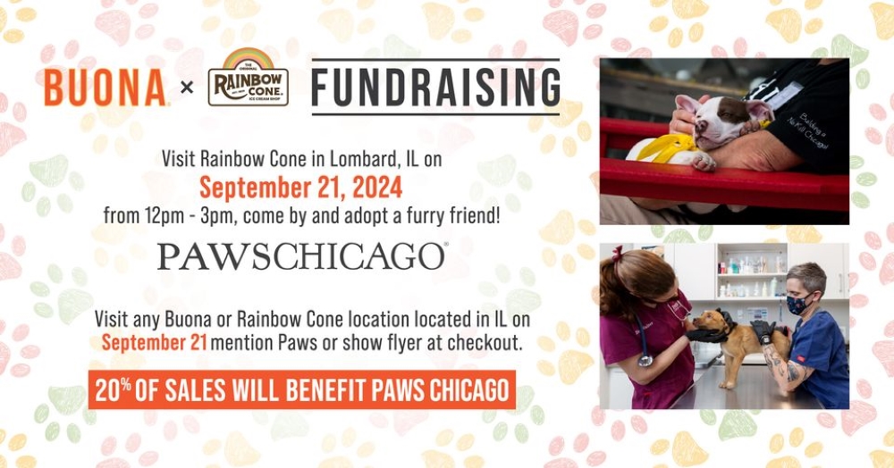 Meet Your Best Friend at the PAWS Chicago Adoption Event at Rainbow Cone in Lombard Tomorrow Afternoon! 