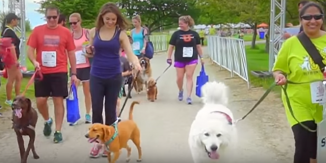 Do you and your four-legged fur face have plans this weekend?