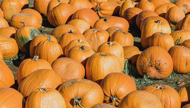 Eating more pumpkin can help your heart, boost your immunity, and aid weight loss