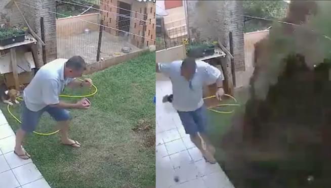 WATCH: Gardener blows up lawn when trying to kill cockroaches
