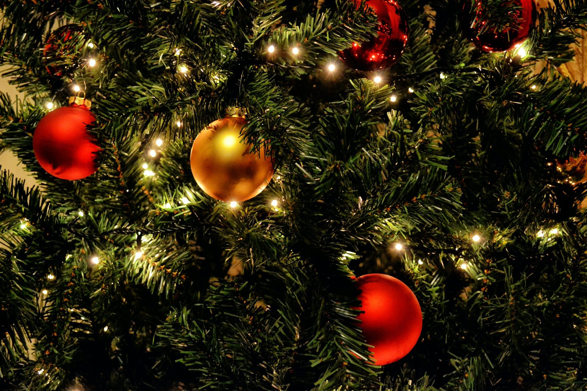 People are already putting up their Christmas Trees as “Fall Trees”
