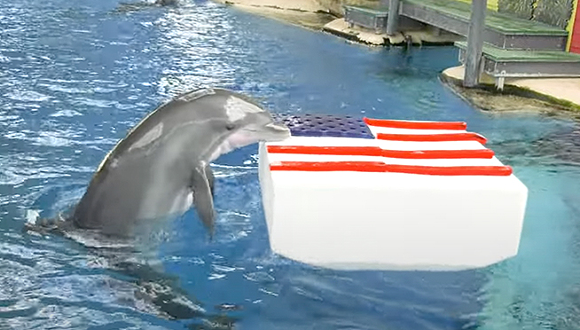 Brookfield Zoo Animals celebrating the Holiday with 4th of July treats