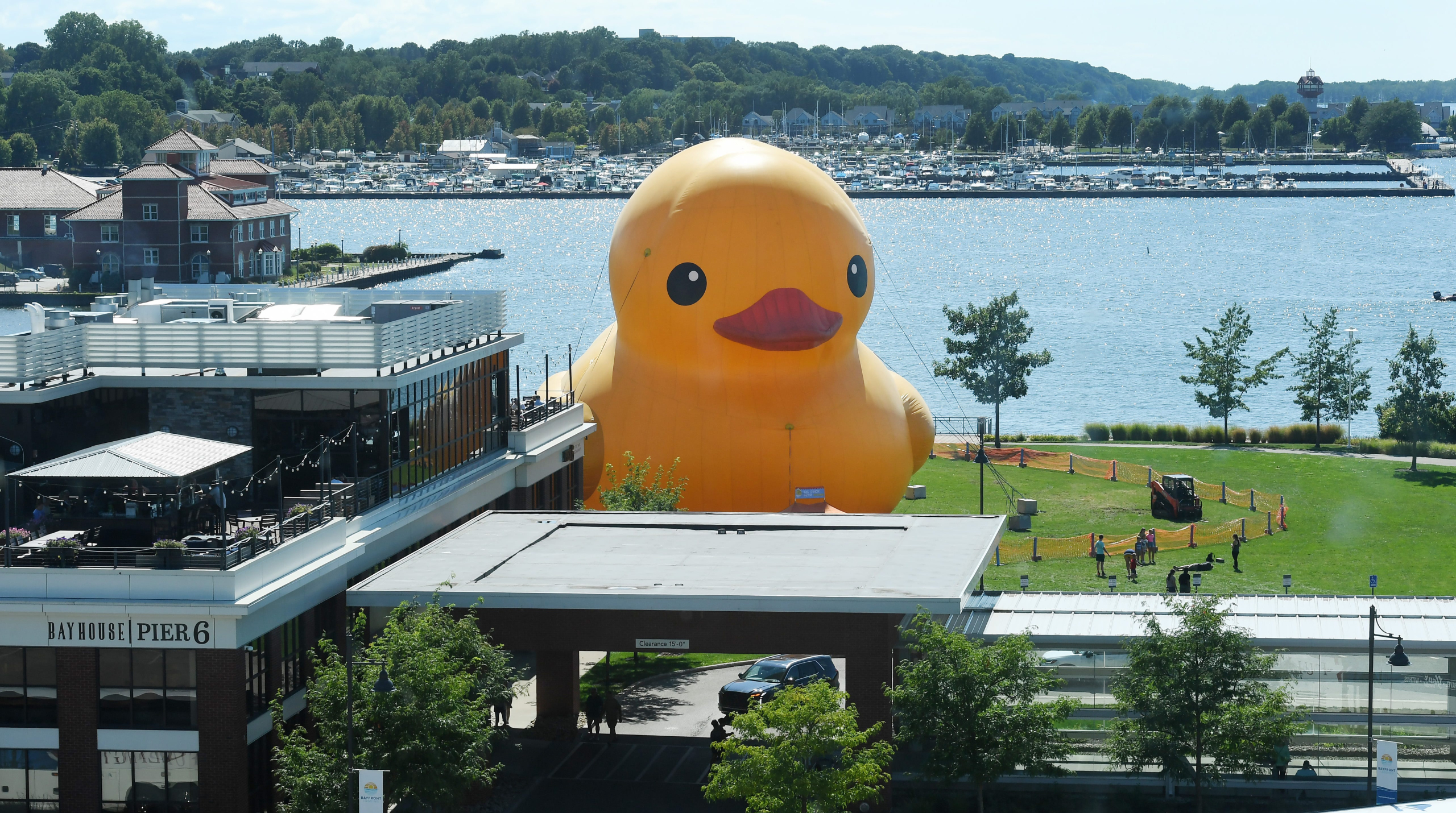 The world’s largest rubber duck is coming to the Chicago suburbs
