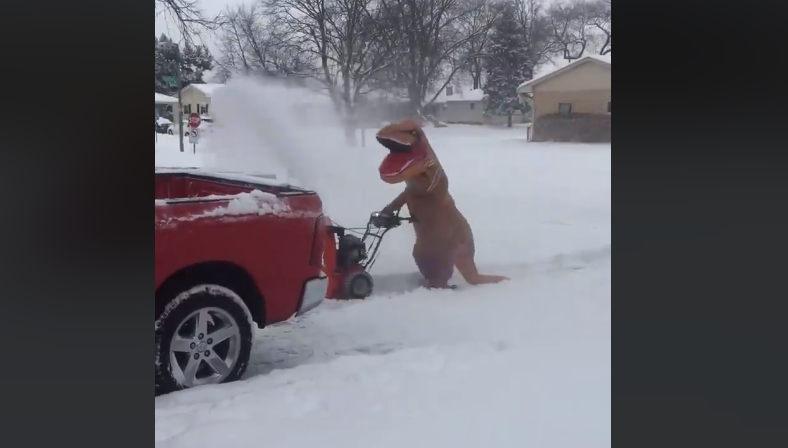 T-Rex uses snow blower in Aurora