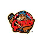 Erie Otters 200