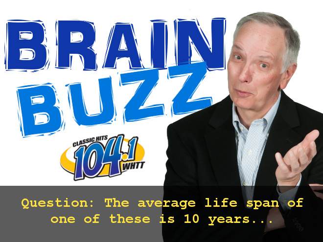 Brain Buzz On Demand (11-15-17)