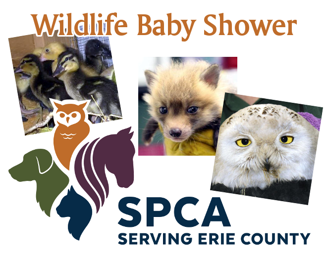 SPCA Wildlife Baby Shower