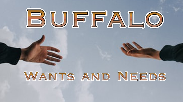 Buffalo Wants and Needs