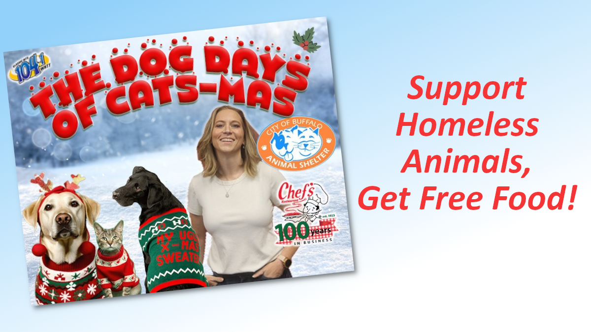 Support Homeless Animals, Get Free Food!