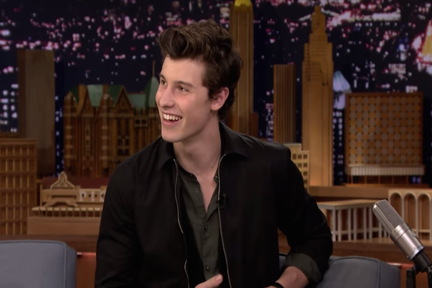 Shawn Mendes Has A New Love Interest
