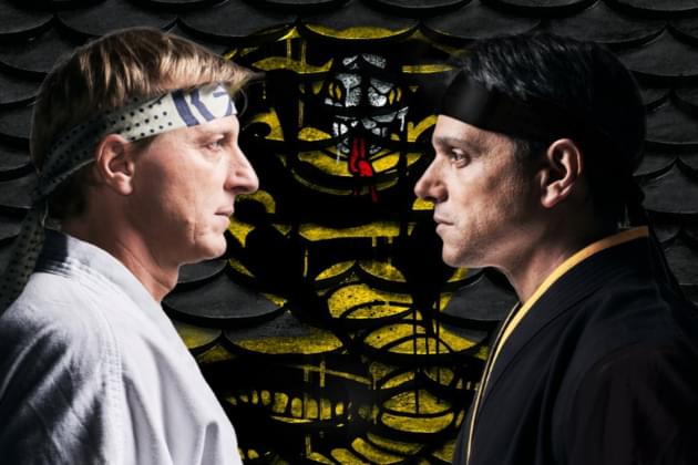 If You Haven’t Seen Cobra Kai Watch It Here [VIDEO]