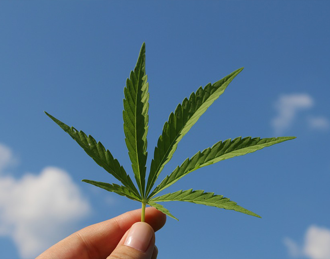 Recreational Marijuana Now Legal in 15 States