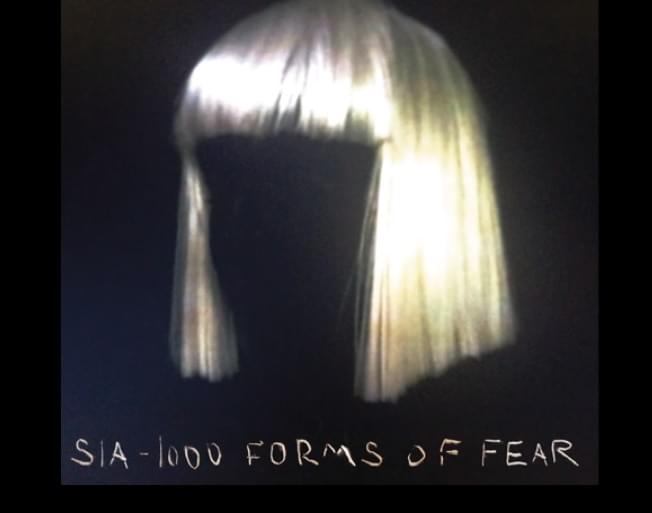 Singer SIA Has Been In Pain For A Long Time And Now We Know Why