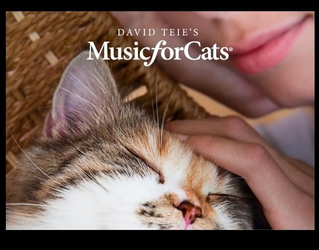THE PERFECT MUSIC FOR CALMING CATS