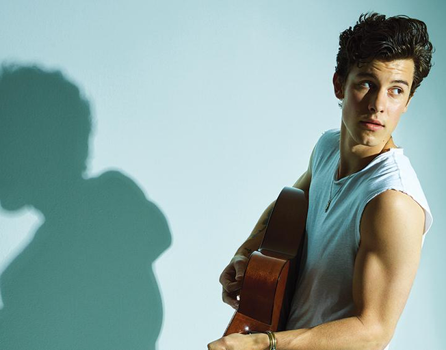 Shawn Mendes Claims Fourth Number One Album