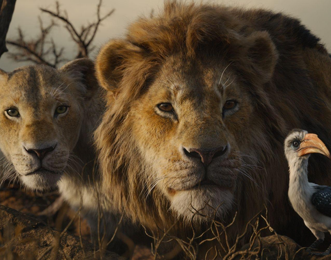 ‘The Lion King’ Sequel Is Happening