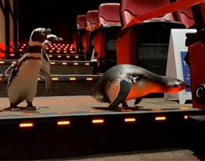 Penguins Go On Field Trip To The Movies