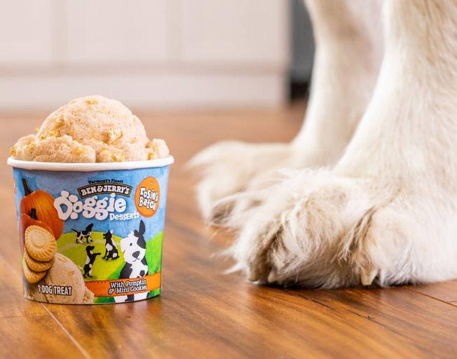 Ben & Jerry’s Is Releasing Line of Desserts Safe for Dogs To Eat