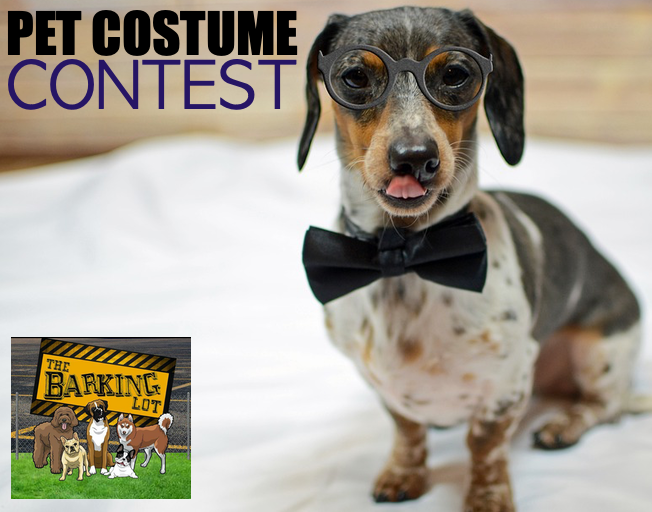 WBNQ Pet Costume Contest