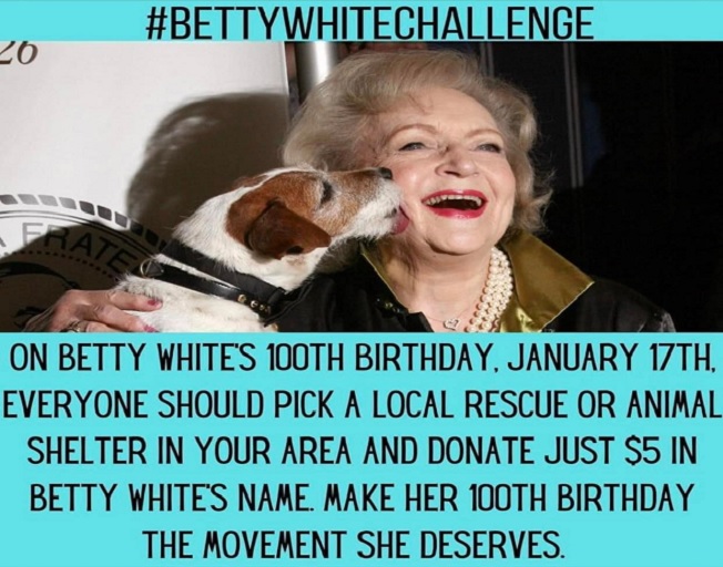#BettyWhiteChallenge Urges Fans To Donate To Animals To Honor Betty