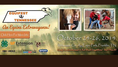 Equifest of Tennessee