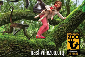 Spider Monkeys at the Nashville Zoo!