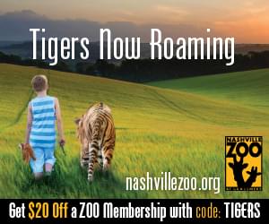 Tiger Crossroads at the Nashville Zoo!