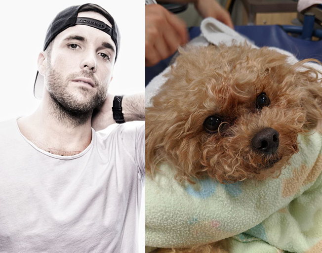 Tyler Rich’s dog “Charlee” Fights to Survive Surgery
