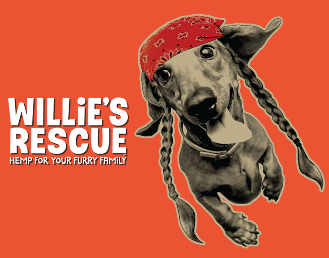 Willie Nelson Launches CBD Line for Pets