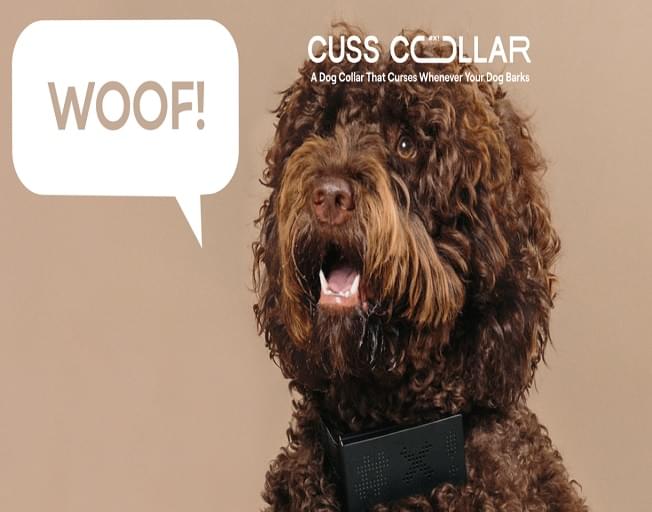 This Dog Collar Swears When Your Dog Barks