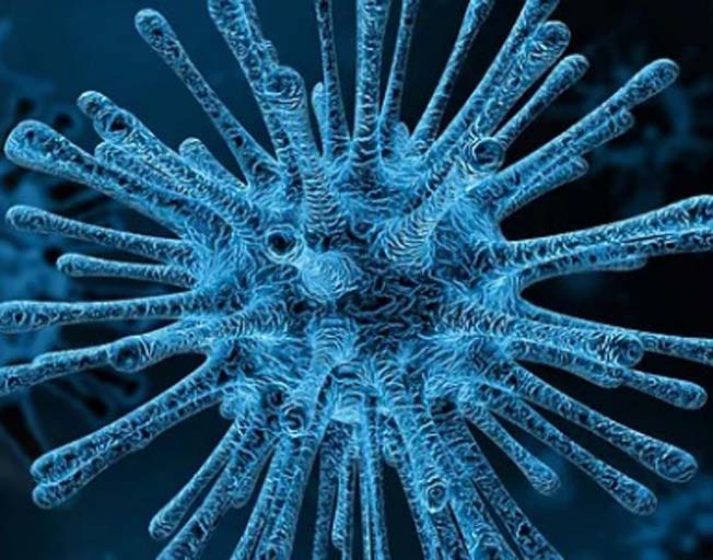 CDC Says Coronavirus Outbreak Inevitable In The US