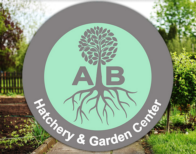 Win a $100 A.B. Hatchery & Garden Center Card with B104